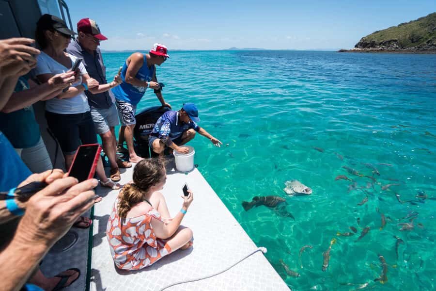 Rosslyn: Great Keppel Island Glass Bottom Boat Tour - The Balance of Value and Experience
