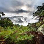 Rotorua Eco Cultural full day tour (Wai o Tapu, Waimangu,Te puia) - FAQs