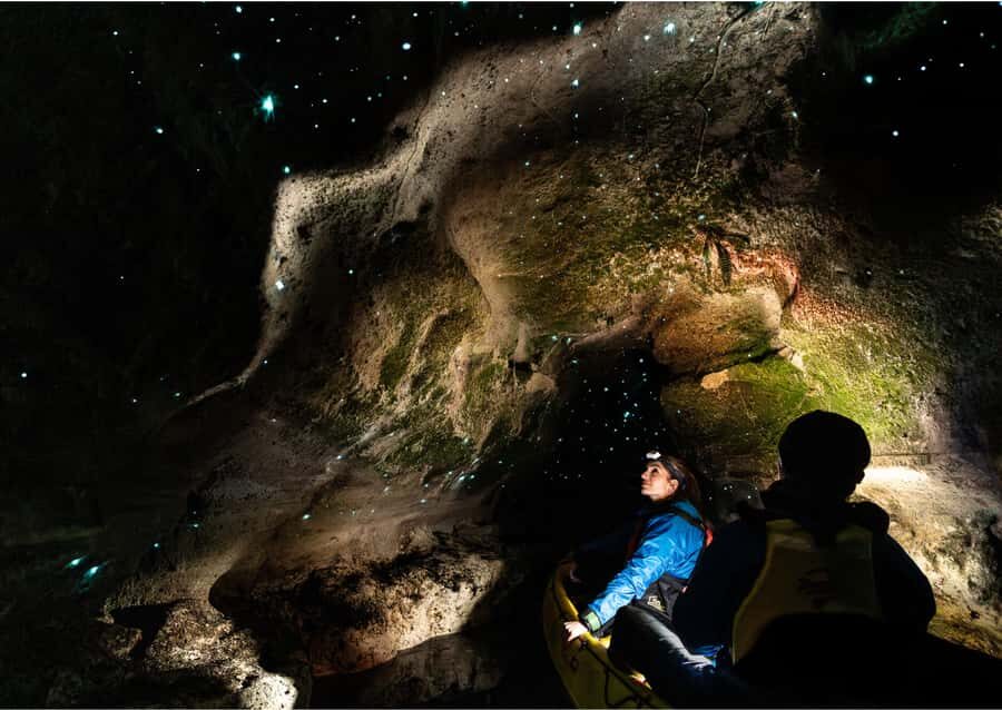 Rotorua: Glow Worm Kayak Tour - What Makes This Tour Stand Out?