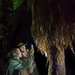 Rotorua: Nocturnal Glow-Worm Adventure Tour with a Guide - The Value of This Glow-Worm Tour