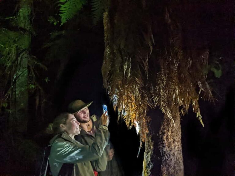Rotorua: Nocturnal Glow-Worm Adventure Tour with a Guide - The Value of This Glow-Worm Tour