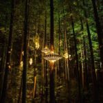 Rotorua: Redwoods Adventure 3-Hours - The Experience in Detail: Breaking Down the Itinerary