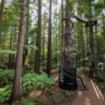 Rotorua: Redwoods Altitude High Ropes Adventure - Learning and Connecting with Nature