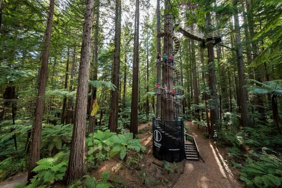 Rotorua: Redwoods Altitude High Ropes Adventure - Learning and Connecting with Nature