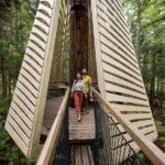 Rotorua: Redwoods Altitude, Nighttime Fast Pass, & Treewalk - Guides and Safety: The Heart of the Experience