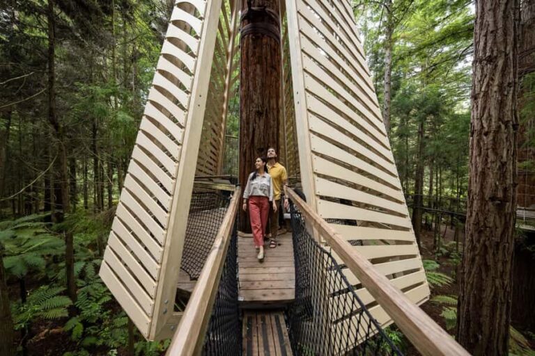 Rotorua: Redwoods Altitude, Nighttime Fast Pass, & Treewalk - Guides and Safety: The Heart of the Experience
