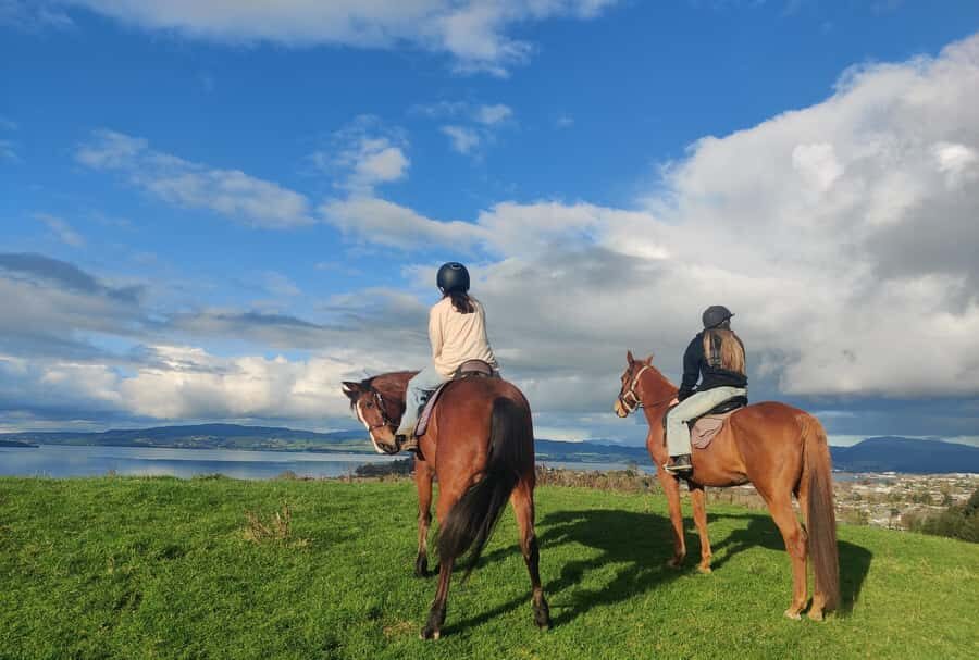 Rotorua: Scenic Horse Trek - The Meeting Point and Practicalities