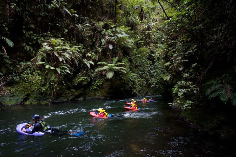 Rotorua Sledging: Kaituna White Water River Board Experience - Who Will Love This Tour?