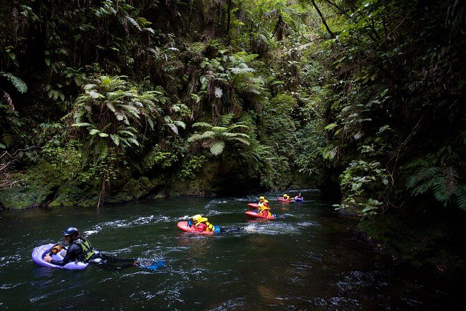 Rotorua Sledging White Water Sledging | Kaitiaki Adventures - Final Thoughts: Who Is This Tour For?