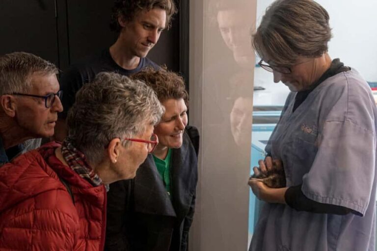 Rotorua: The National Kiwi Hatchery Kiwi Encounter Tour - Who Should Consider This Tour?