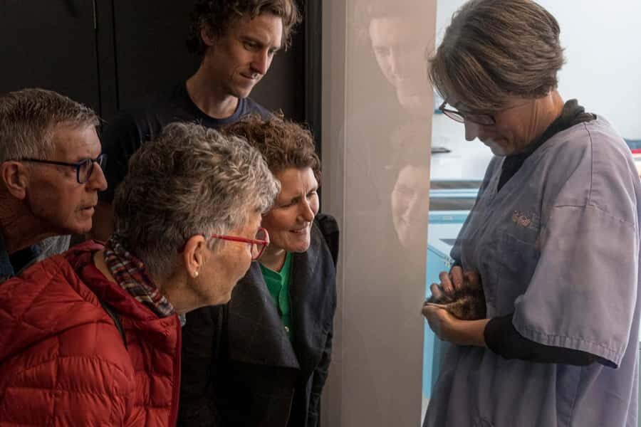 Rotorua: The National Kiwi Hatchery Kiwi Encounter Tour - Who Should Consider This Tour?