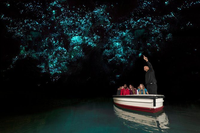 Rotorua to Auckland Afternoon Transfer with Waitomo Glow Worms - An Honest Look at the Experience