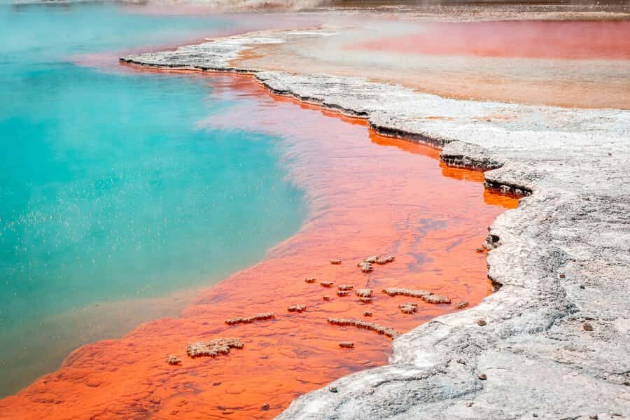 Rotorua: Wai-O-Tapu Geothermal Park Entry Ticket - Timing and Tips