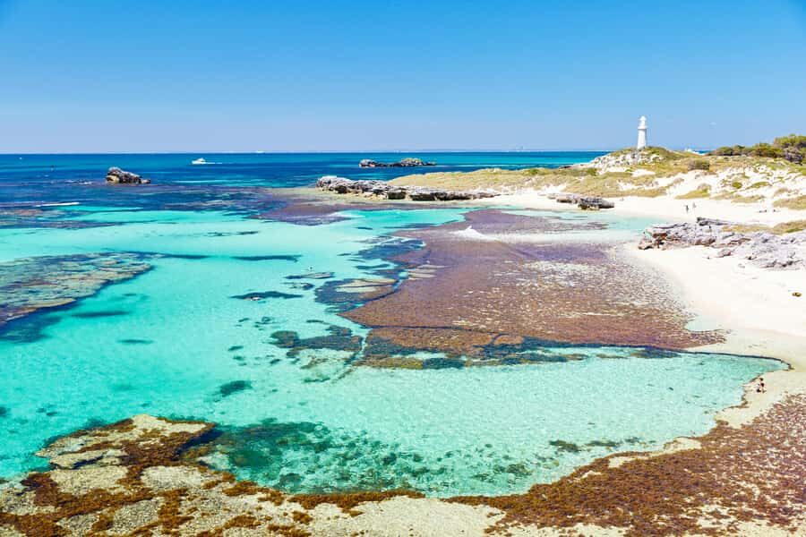Rottnest Grand Island Package with Ferry, Tour & Light Lunch - The Itinerary Breakdown