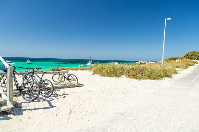 Rottnest Island Bayseeker Day Trip from Perth - Value for Money & Practical Considerations