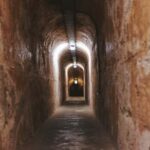 Rottnest Island: Grand Bus and Train Tour with Lunch - Who Is This Tour Best For?