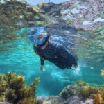 Rottnest Island Guided Snorkel Boat Experience - Price and Value