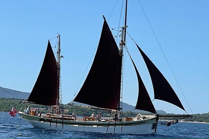 Sailing day trip on Tall Ship Andrea Jensen with Lunch and Wine - Departure logistics: where to meet and what timing to plan