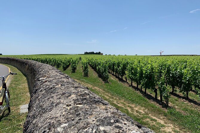 Saint-Emilion Afternoon Wine Tour - 2 Wineries & delicacies - What the Reviews Tell Us About the Real Experience