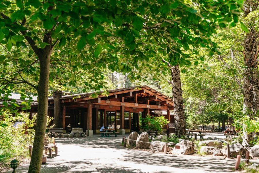 San Francisco: Yosemite National Park & Giant Sequoias Hike - Price and value: what $219 buys you (and what it doesn’t)