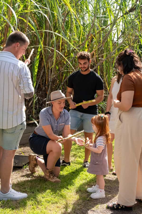 Sarina: Sarina Sugar Shed Guided Tour with Tastings - The Experience in Detail: Breaking Down the Itinerary