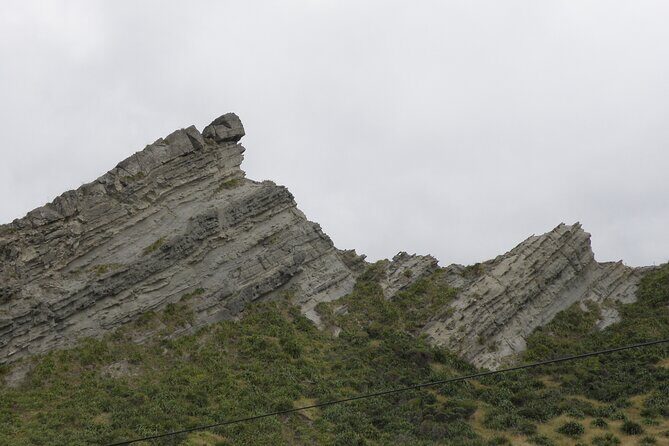 Scenic South Wairarapa Full Day Tour from Wellington - The Sum Up