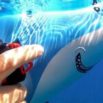 Sea Scooter Snorkel Tour - Lagoon Discovery : Wrecks, Coral Gardens and Tropical Fishies - The Value for Money