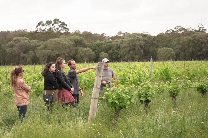 Secret Delights: Curated Wine, Coffee & Forest Experience - Is This Tour Right for You?