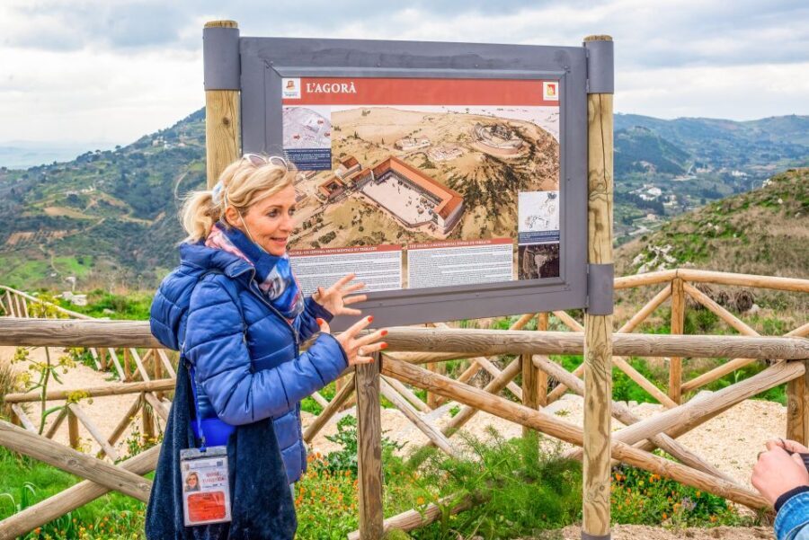 Segesta, Erice and Salt Pans Full-Day Excursion from Palermo - Price and Logistics: What You’re Actually Paying For