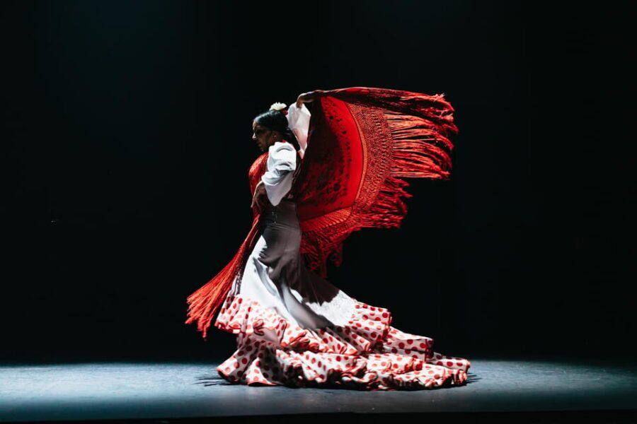 Seville: Live Flamenco Dancing Show Ticket at the Theater - The value question: does $27 make sense here?
