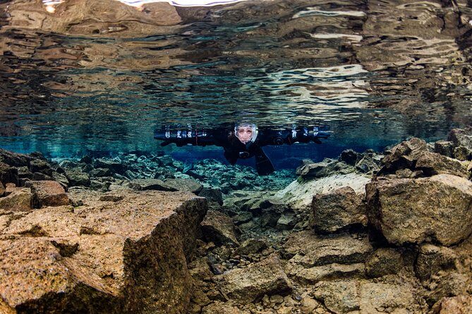 Silfra: Snorkeling Between Tectonic Plates Pick Up from Reykjavik - Understanding the Logistics and Timing