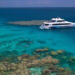 Silversonic Outer Great Barrier Reef Cruise from Port Douglas - Who is This Tour Best Suited For?