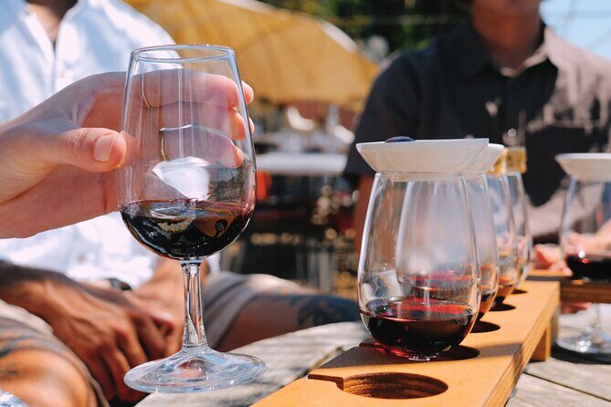 Sip & Savour through Waiheke Island (11 guests max) - Who Will Love This Tour?