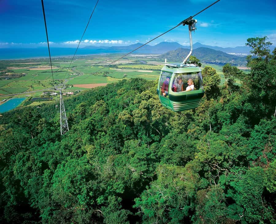 Skyrail Rainforest Cableway Round-Trip Experience - The Journey and Stops