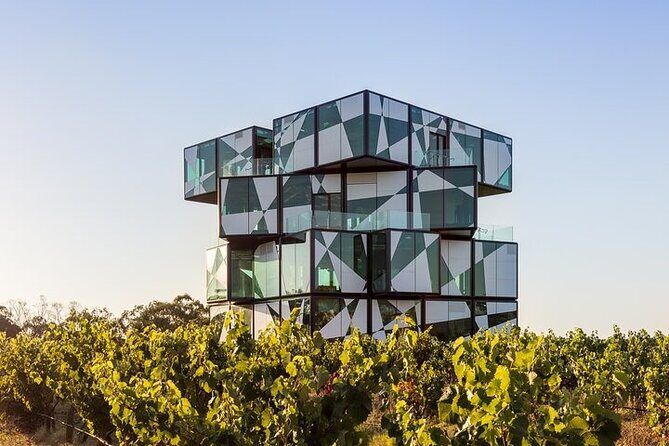 Small Group McLaren Vale and The Cube Experience - In The Sum Up