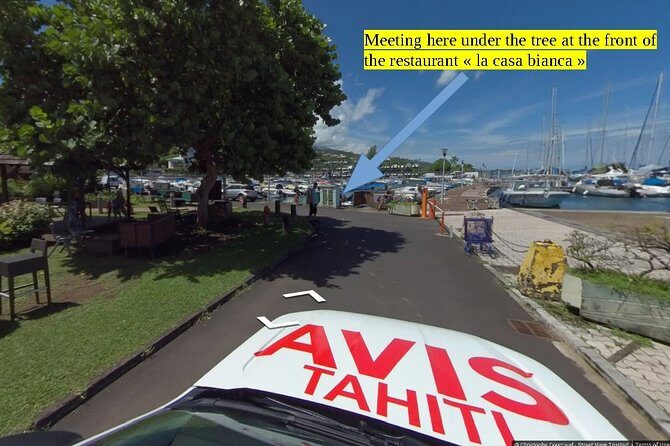 Small group snorkeling (5 people max): wrecks & tropical fishes at 10:30am - What’s included and what to expect