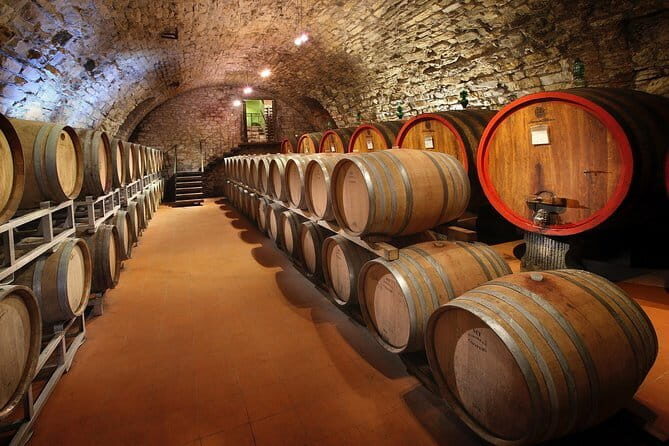 Small-Group Wine Tasting Experience in the Tuscan Countryside - Whos Leading This Experience: The Human Element