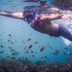 Snorkeling Tour: Discover Sydneys impressive sea life - What to Expect in the Water