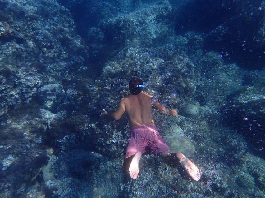 Soller: Sa Calobra & Cala Tuent Speedboat Tour - Price and Value: Is $58 Reasonable for 2 Hours?