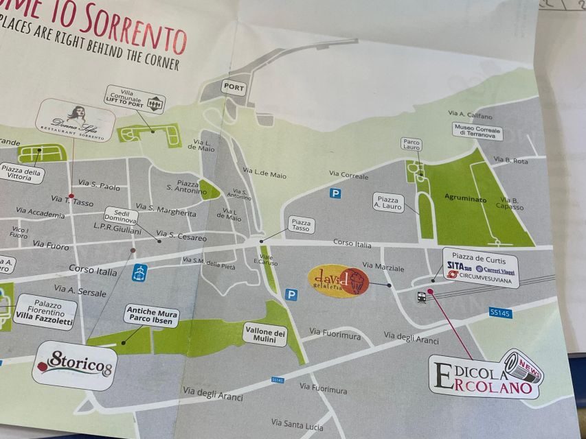 Sorrento: Skip-the-Line Pompeii Express Tour by Train - Meeting in Sorrento: go early or you’ll feel rushed