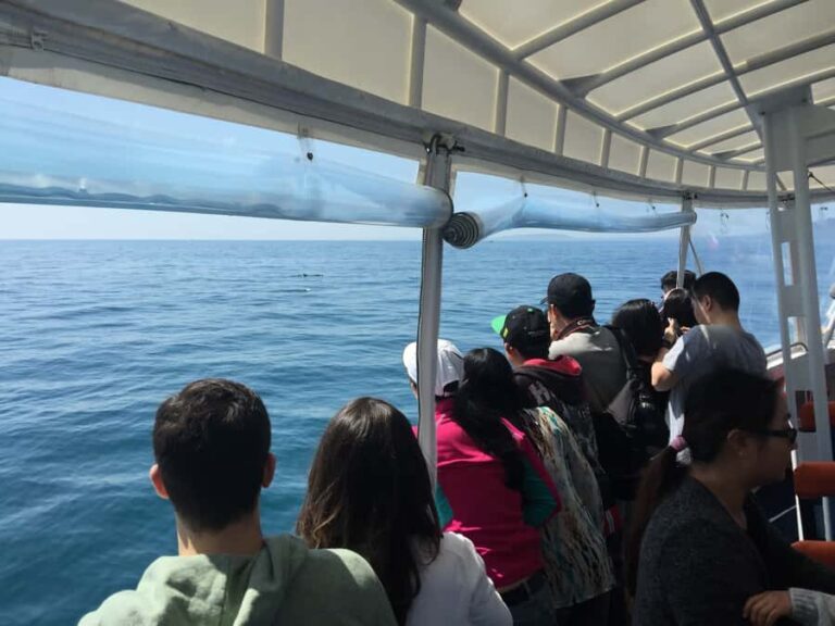 Sorrento,Mornington Peninsula: Wildlife & Sightseeing Cruise - The Price & Value