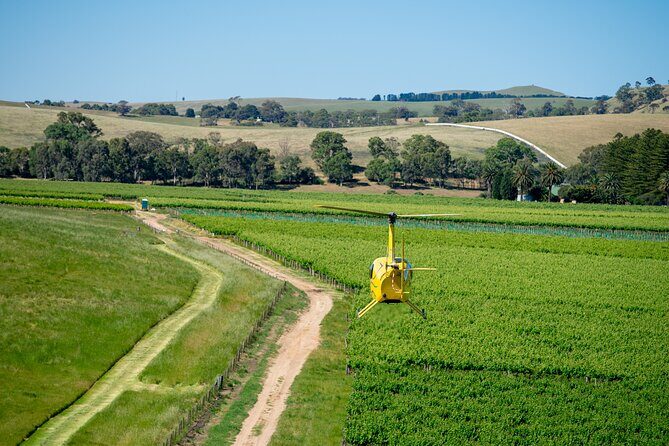 Southern Barossa: 10-Minute Helicopter Flight - What to Expect from the Experience