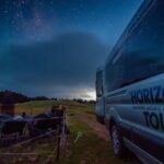Southern Skies Stargazing Tour in Dunedin - The Experience of the Guides