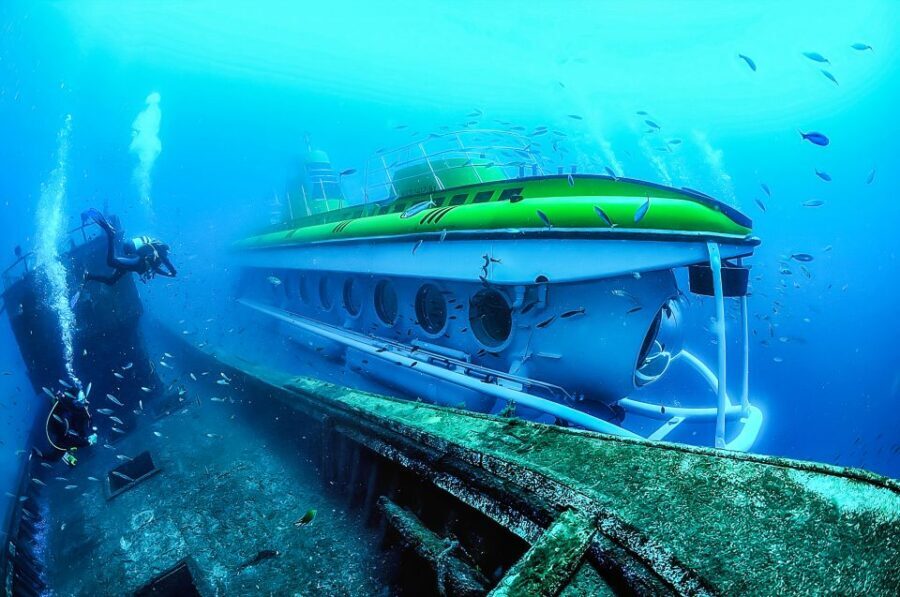 Southern Tenerife: 50-Minute Submarine Dive - Getting There: Free Bus Pickup in Playa de Las Americas and More
