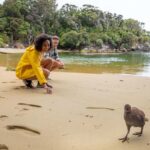 Stewart Island: Ulva Island Guided Wilderness Walk & Cruise - Who Should Consider This Tour?