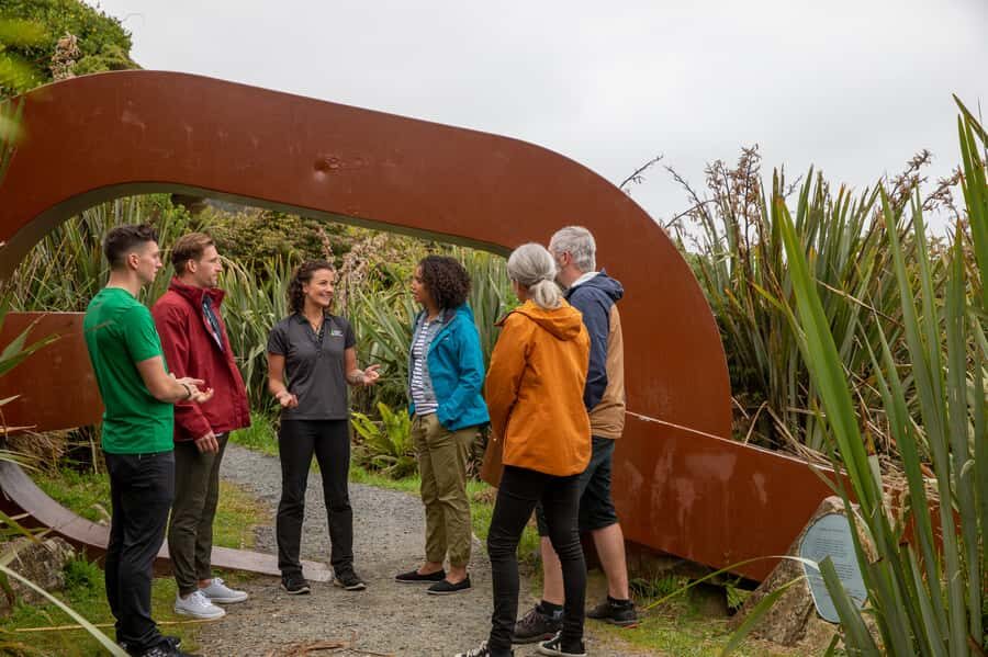Stewart Island: Village and Bays Tour - Who Is This Tour Best For?