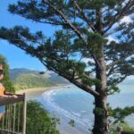 Sunrise with the Kangaroos & Wallabies - Airlie Beach - Is It Worth the Cost?