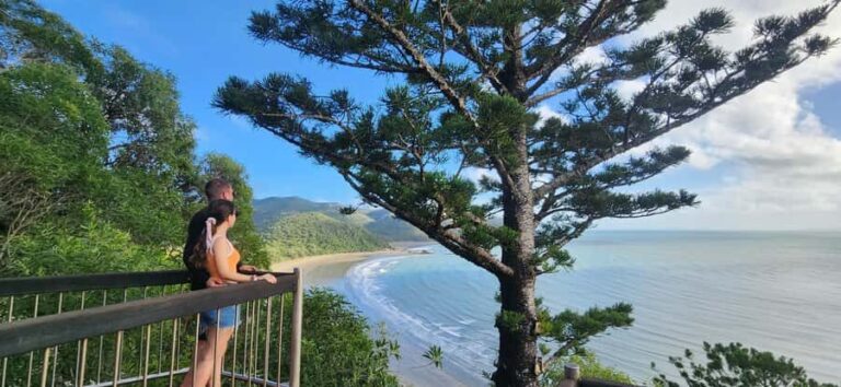 Sunrise with the Kangaroos & Wallabies - Airlie Beach - Is It Worth the Cost?