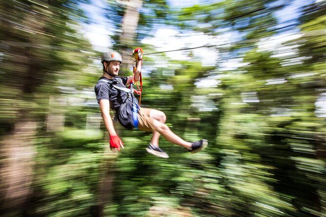 Sunshine Coast Adventure Park TreeTop Challenge - The Itinerary: What Youll Experience
