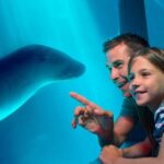 Sunshine Coast: SEA LIFE Sunshine Coast Entry Ticket - The Experience Space and Atmosphere